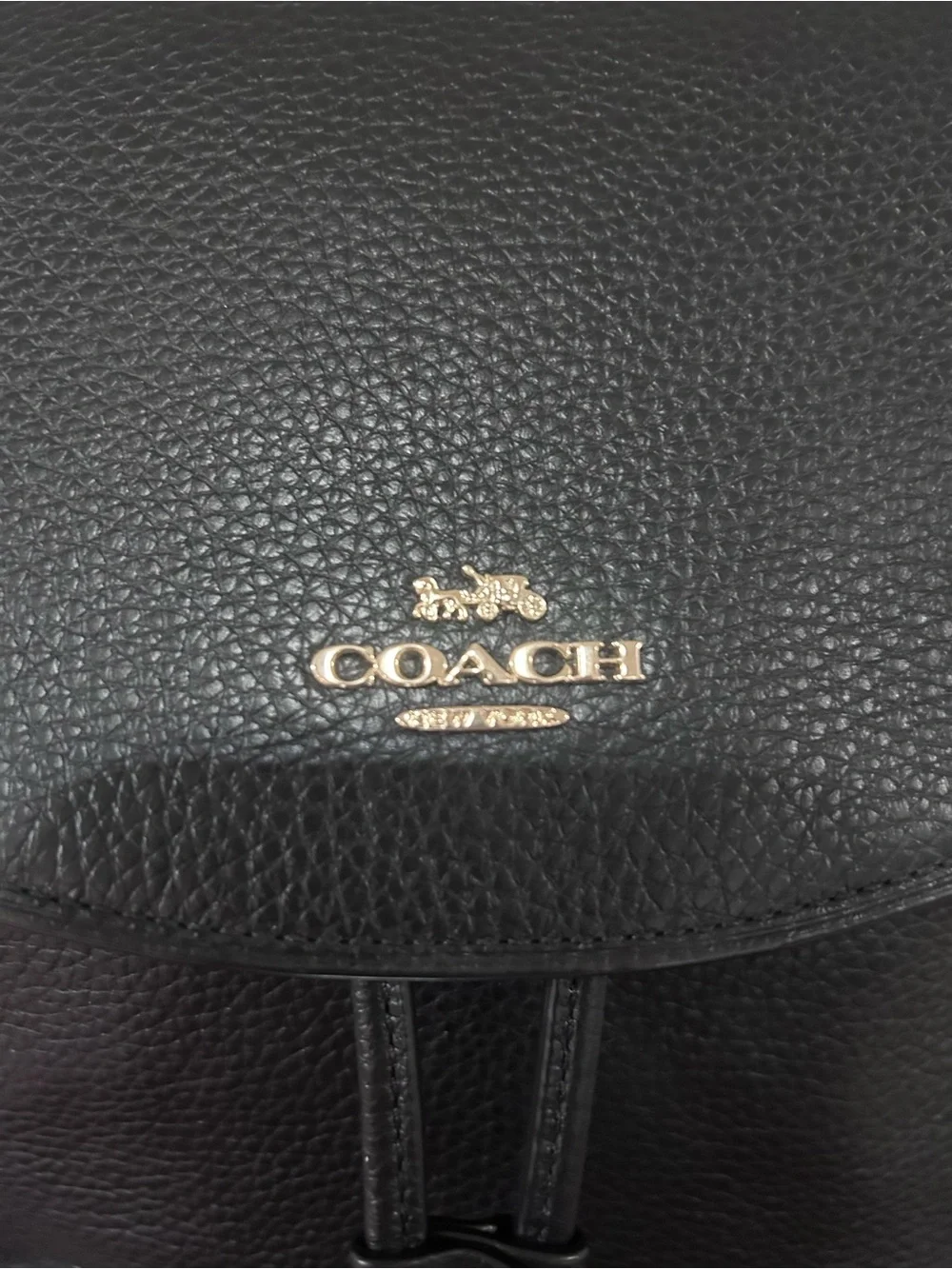 Coach nwt elle